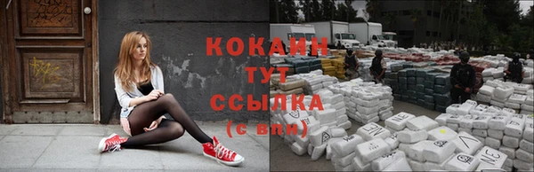 гидра Дмитриев