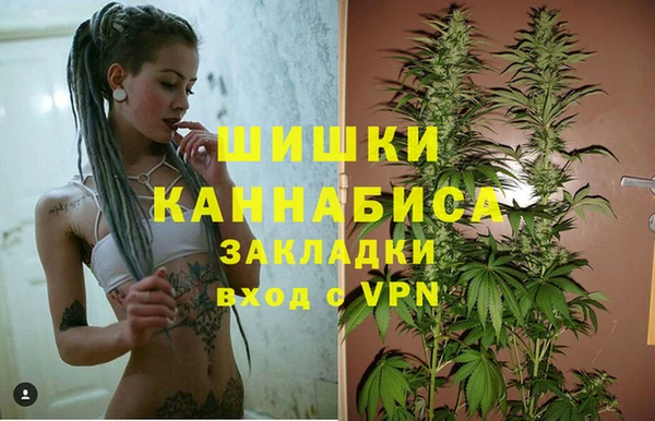 гидра Дмитриев