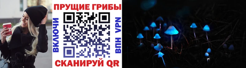 купить закладку  Черкесск  Галлюциногенные грибы GOLDEN TEACHER 